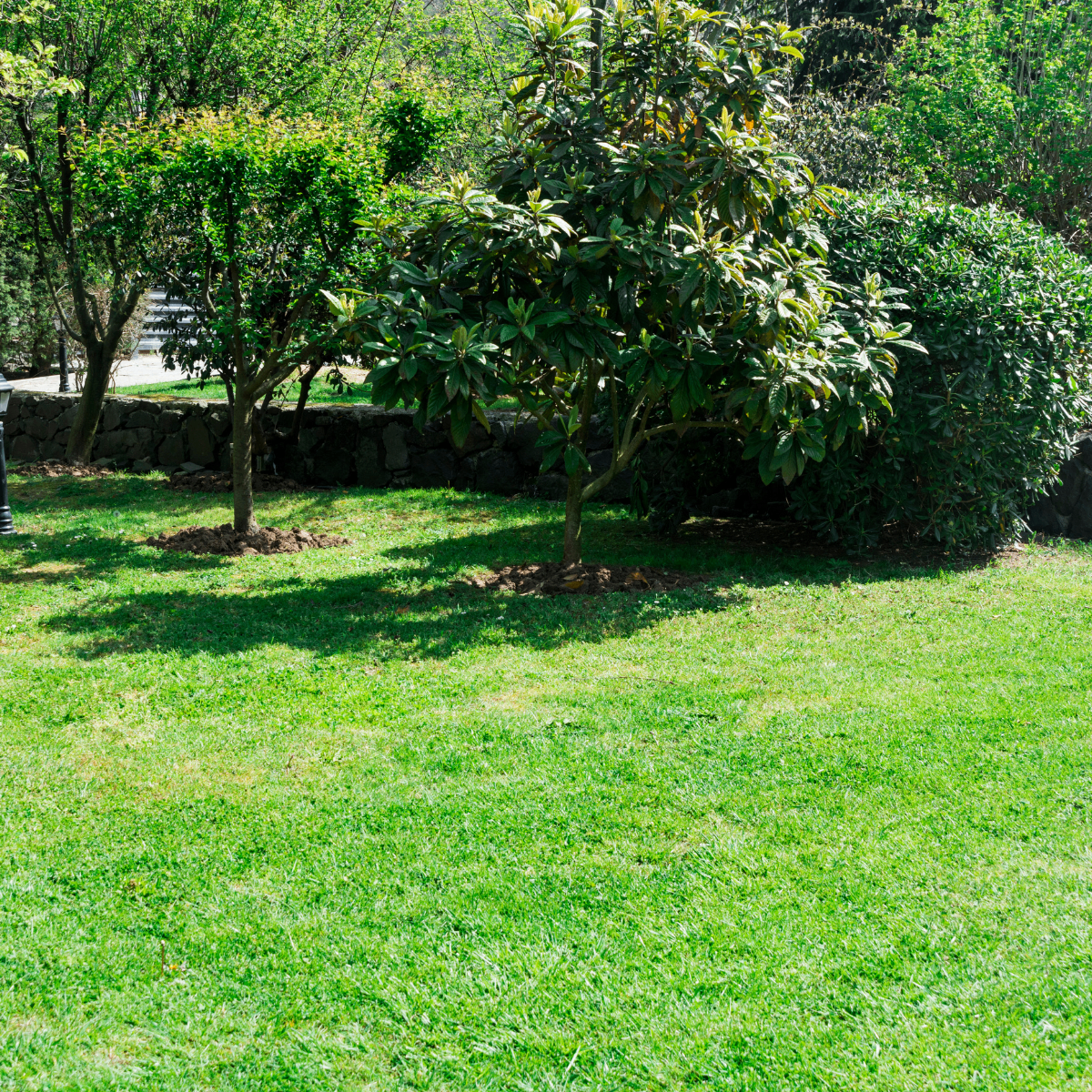 Gartenpflege