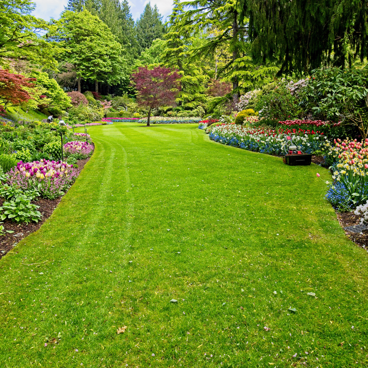 Gartenpflege